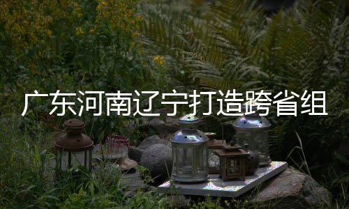 入选广东打造队河南组合泽涛三省 宁有望跨省辽宁接力
